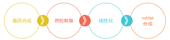 ba08d992d545d2d9.png